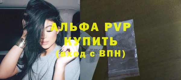 стаф Каменск-Шахтинский