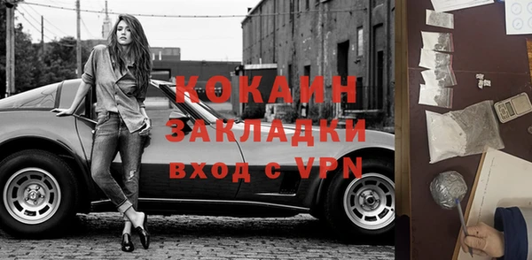 стаф Каменск-Шахтинский