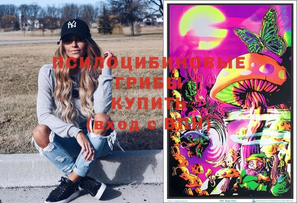 стаф Каменск-Шахтинский