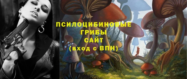 не бодяженный Каменногорск