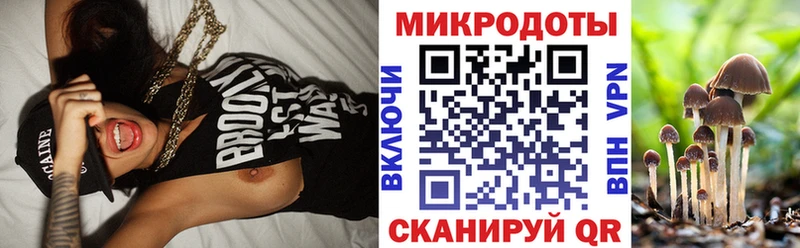 Псилоцибиновые грибы Cubensis  Купить закладки  Верея 