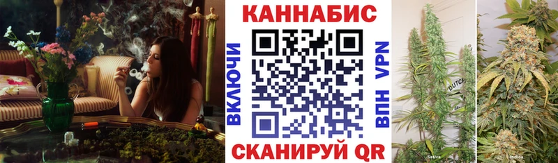 Купить где  Верея  Канабис план 